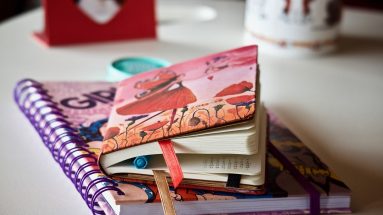 como organizar a agenda