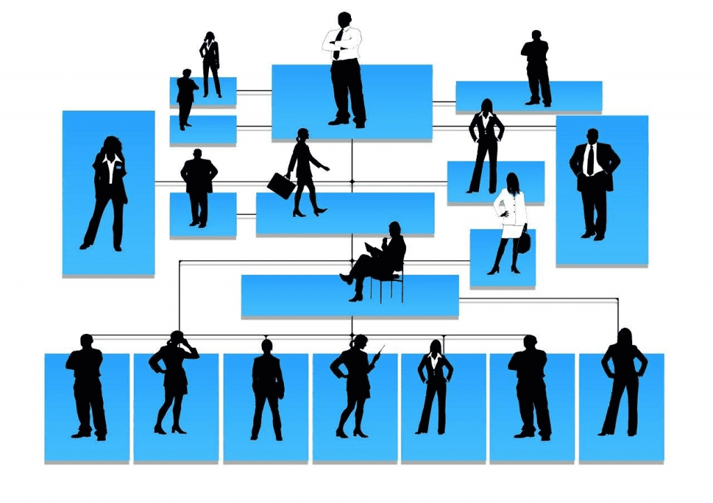  O organograma mostra as posições hierárquicas e funções de cada colaborador da companhia.